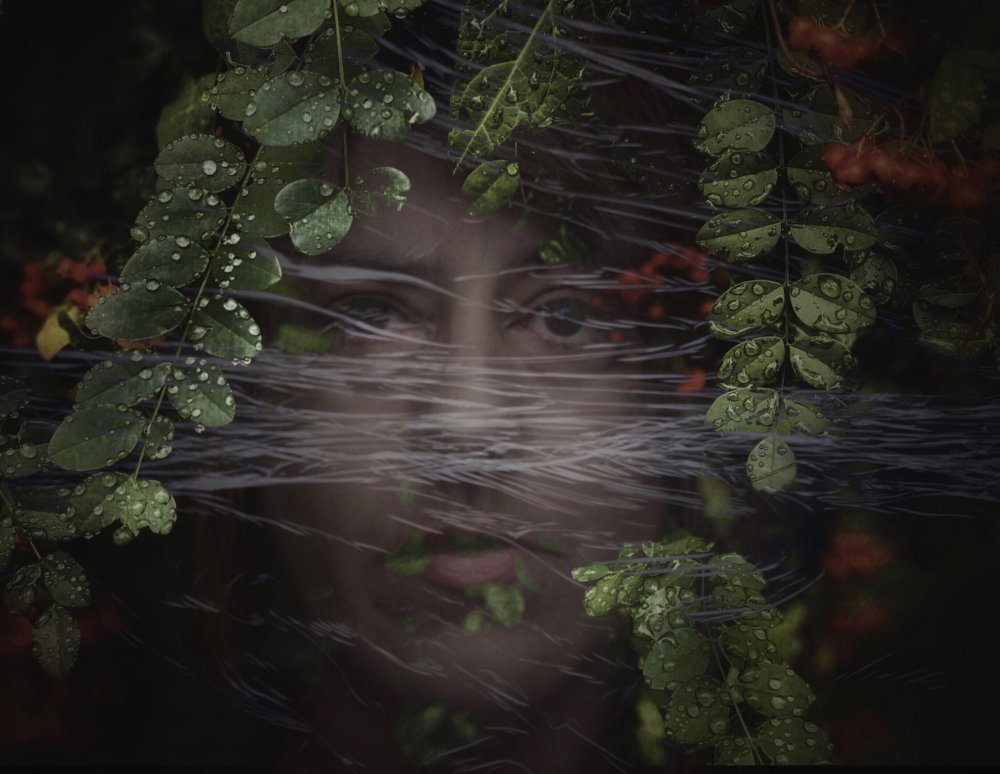 Back to nature von Mia Depaola