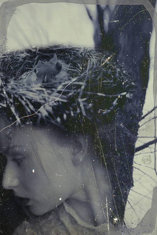 Bird\'s Nest - Vogelnest von Mia Will