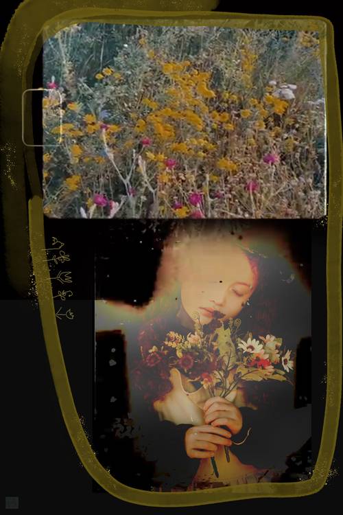 Stardust - Sternenstaub von Mia Will