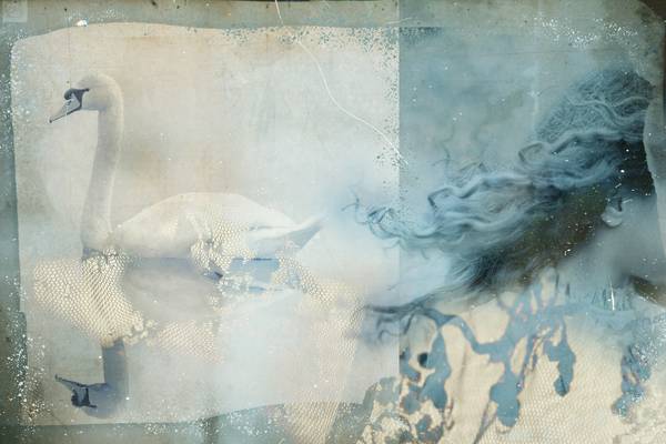 Swanchild - Schwanenkind von Mia Will