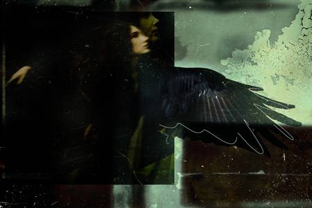 Bird woman - Vogelfrau