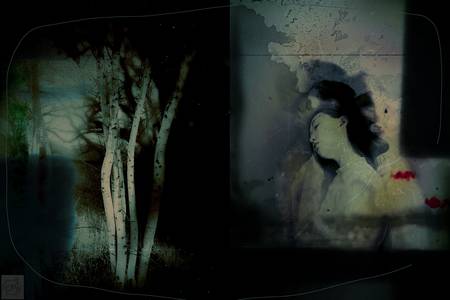 Sisterhood - Schwesternschaft