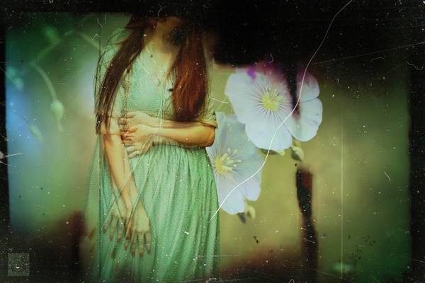 Walking Through Flowers - Durch Blumen gehen von Mia Will