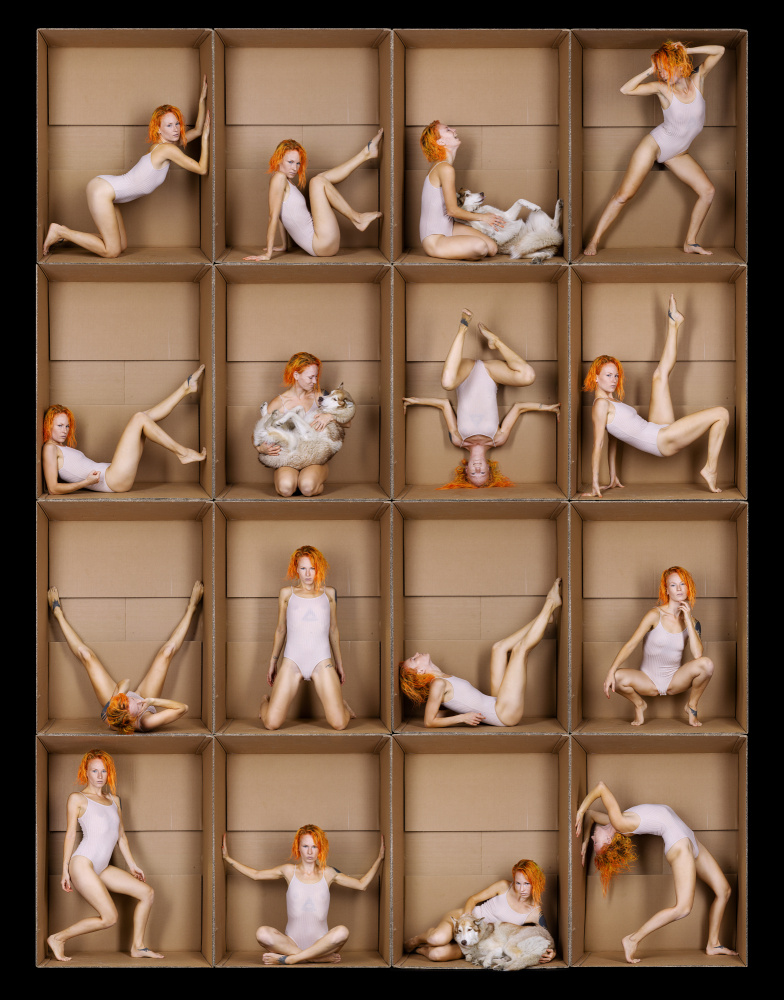 the fifth element von Michael Allmaier