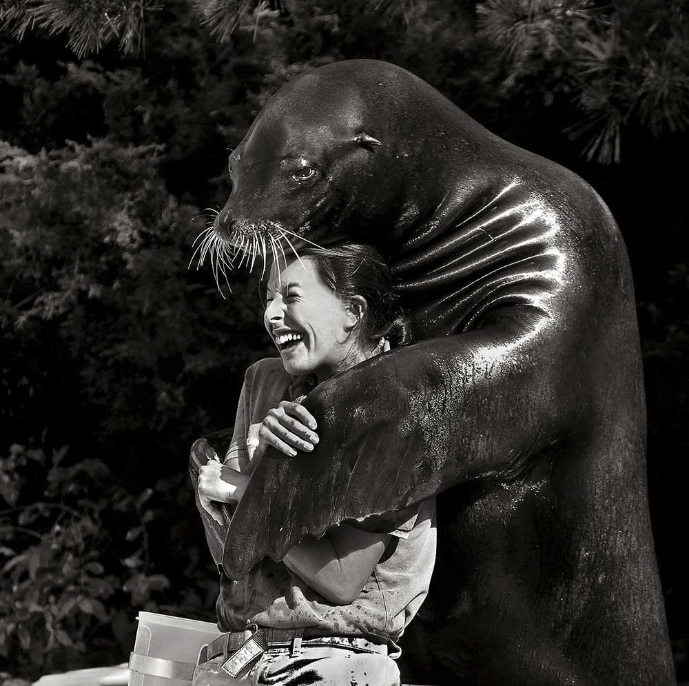 Gib mir eine Umarmung von Michael Castellano