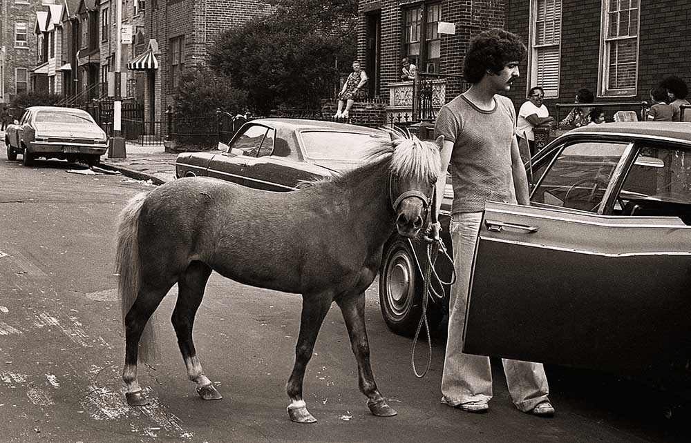 Versucht er wirklich, mich wieder dort unterzubringen? von Michael Castellano