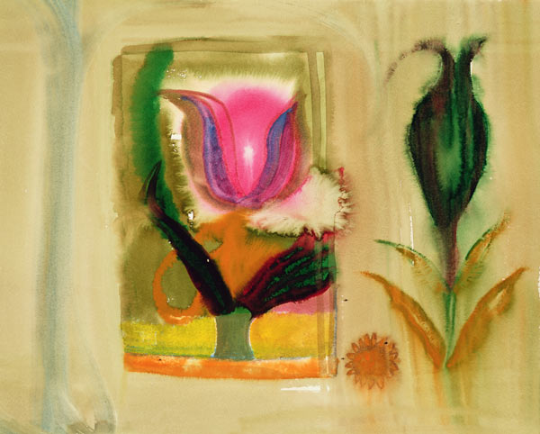 Flower burst  von Michael  Chase