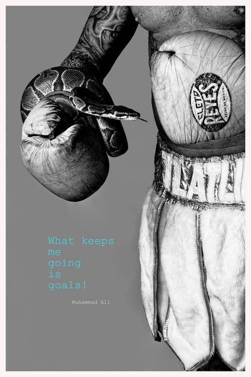 Goal von Michael Donner