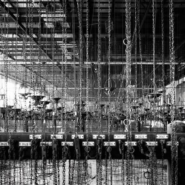 Remember von Michael Donner