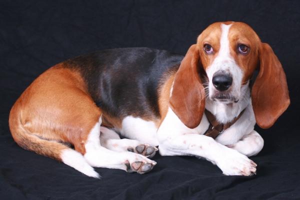 Bruno I von Michael Fleck