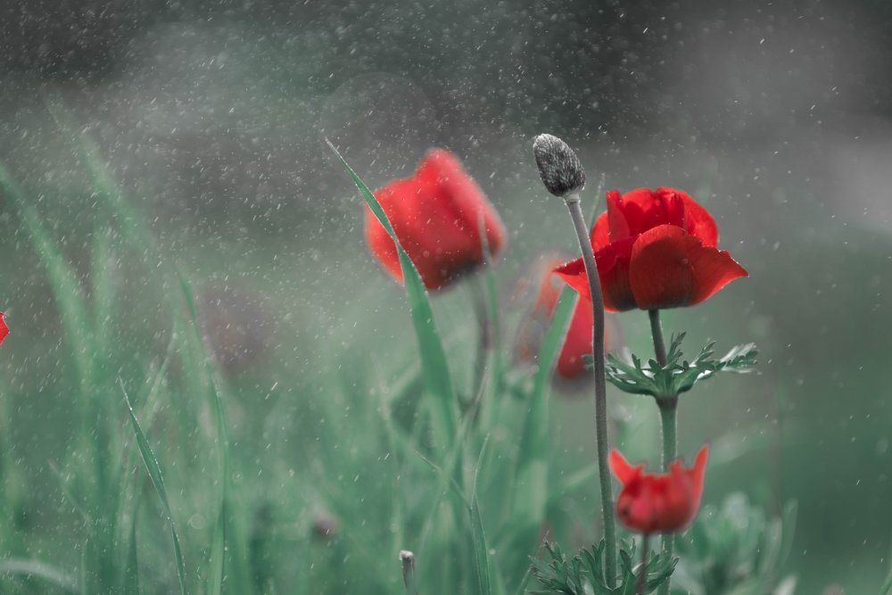 Time Freeze von Michael Gal