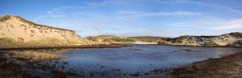 Dünensee von Michael Kedzior