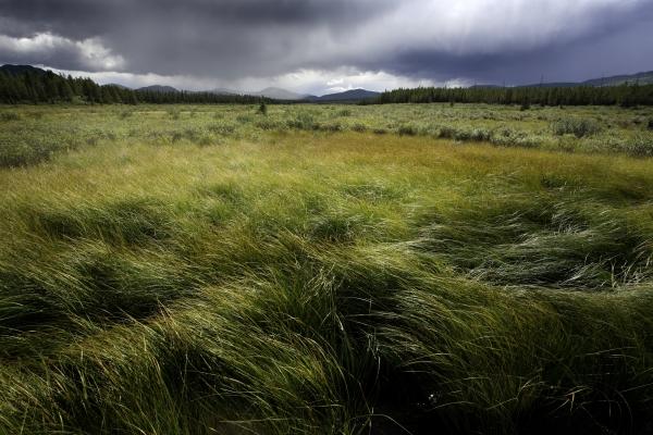 yukon von Michael Kempf