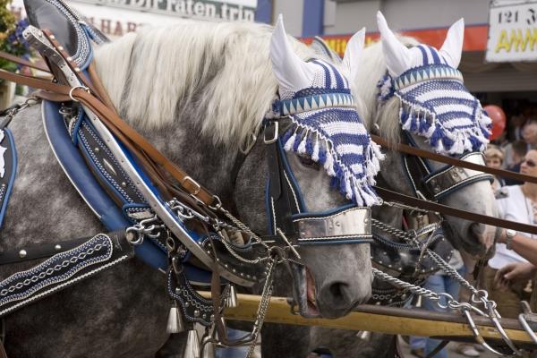 Oktoberfest - München von Michael Kupke