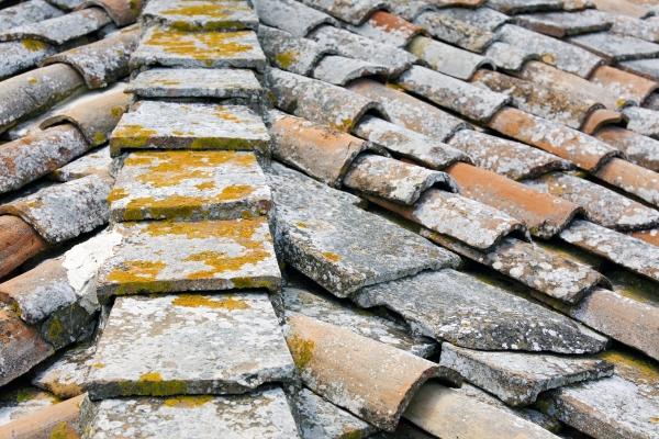 Mönch und Nonne von Michael Kupke