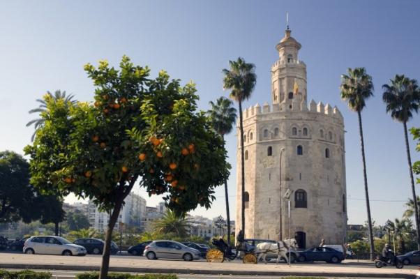Torre del Oro von Michael Kupke