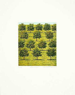 Plantage von Michael Rausch