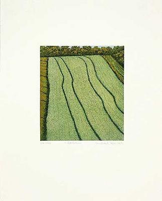 Spuren von Michael Rausch