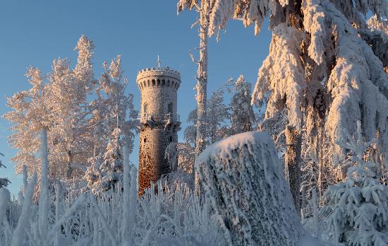 Sonnenaufgang am Kickelhahn von Michael Reichel