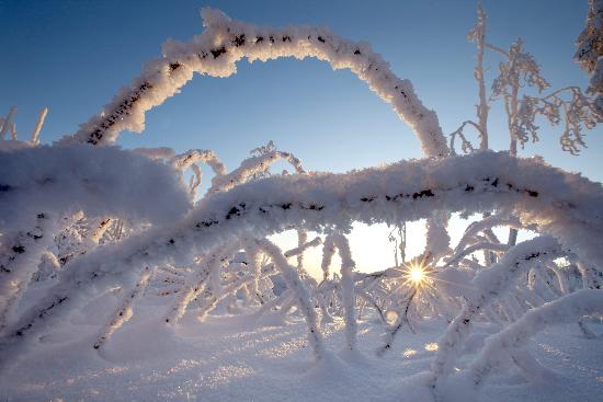 Sonnenaufgang am Kickelhahn von Michael Reichel