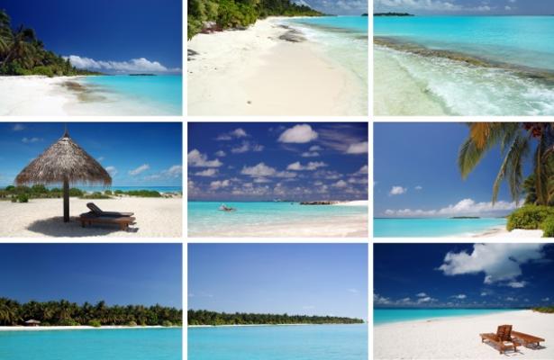 Tropical Montage von Michael Rosenwirth