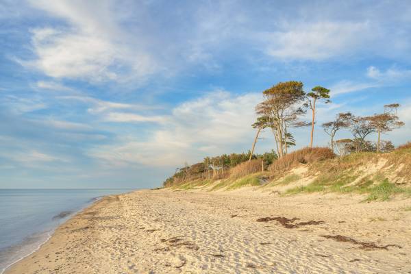 Abends am Darßer Weststrand auf der Halbinsel Fischland-Darß-Zingst von Michael Valjak