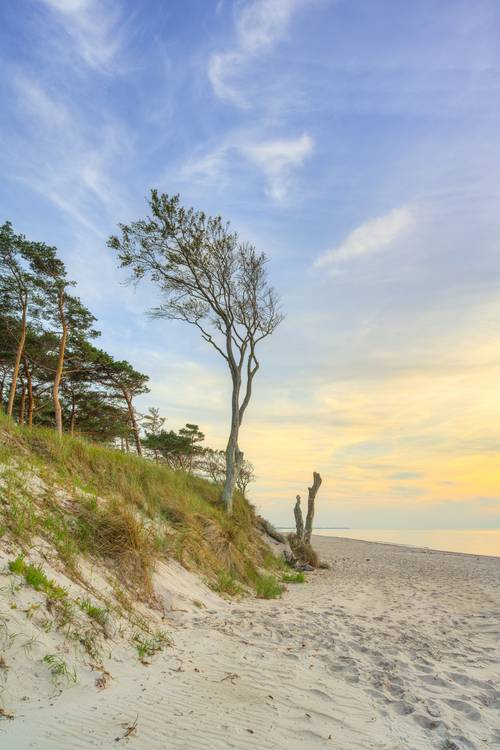 Abends an der Darßer Westküste auf der Halbinsel Fischland-Darß-Zingst von Michael Valjak
