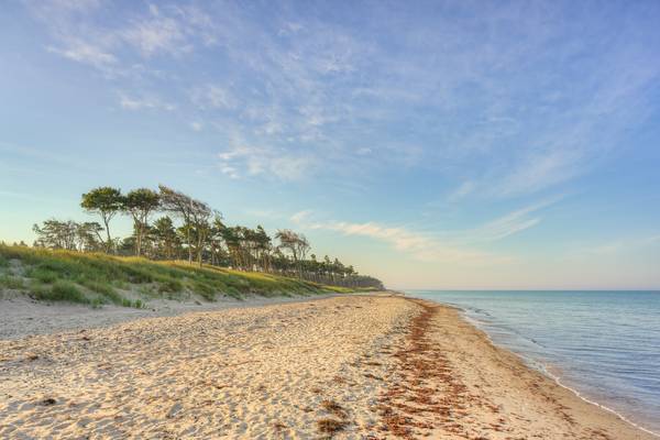 Am Darßer Weststrand auf der Halbinsel Fischland-Darß-Zingst von Michael Valjak