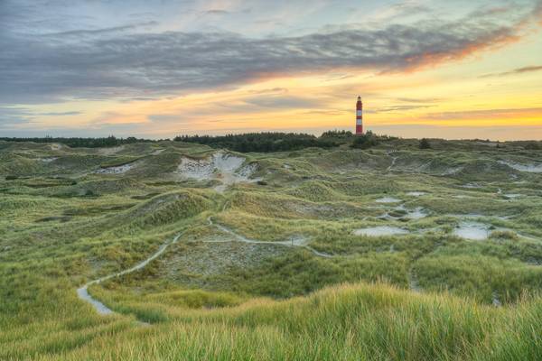 Blick über die Dünen auf Amrum zum Leuchtturm bei Sonnenaufgang von Michael Valjak