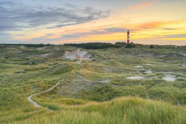 Blick über die Dünen zum Leuchtturm auf Amrum bei Sonnenaufgang von Michael Valjak