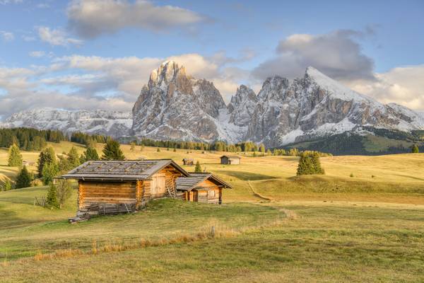 Die Seiser Alm in Südtirol im goldenen Herbstlicht von Michael Valjak