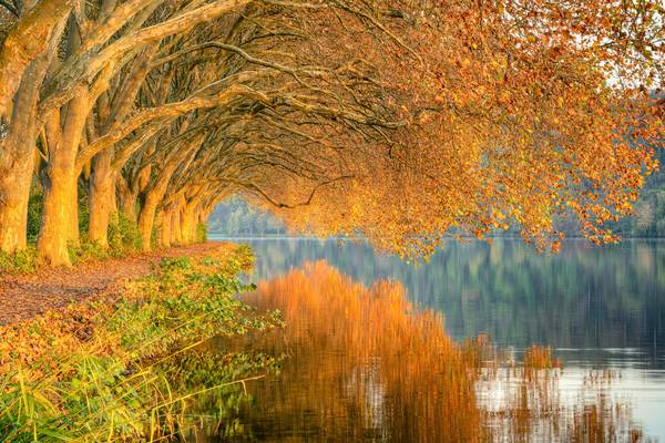 Herbst am Baldeneysee in Essen von Michael Valjak