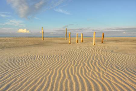 Holzpfähle auf dem Kniepsand auf Amrum