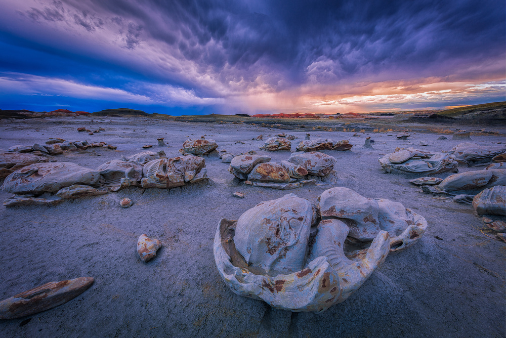 Into the Infinite Future von Michael Zheng