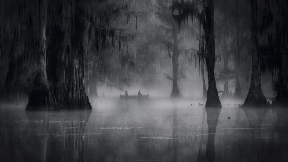 Misty Morning von Michael Zheng