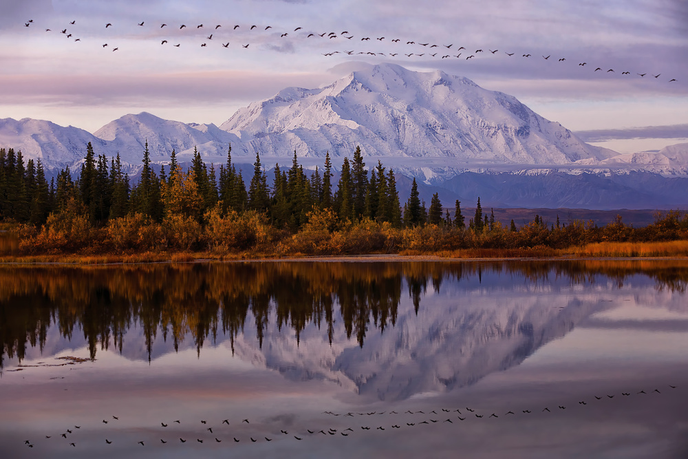 Flying Over von Michael Zheng