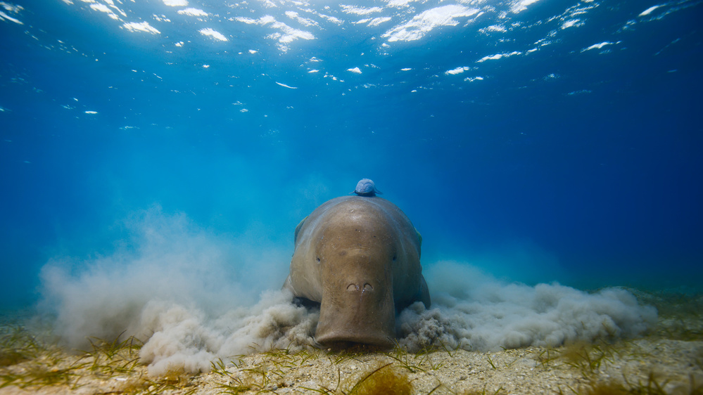 Get away, work in progress von Michal Lindner