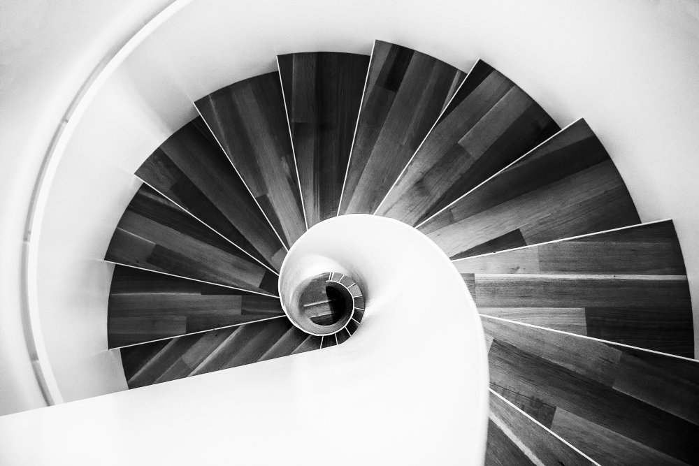 Snail von Michel Groleau