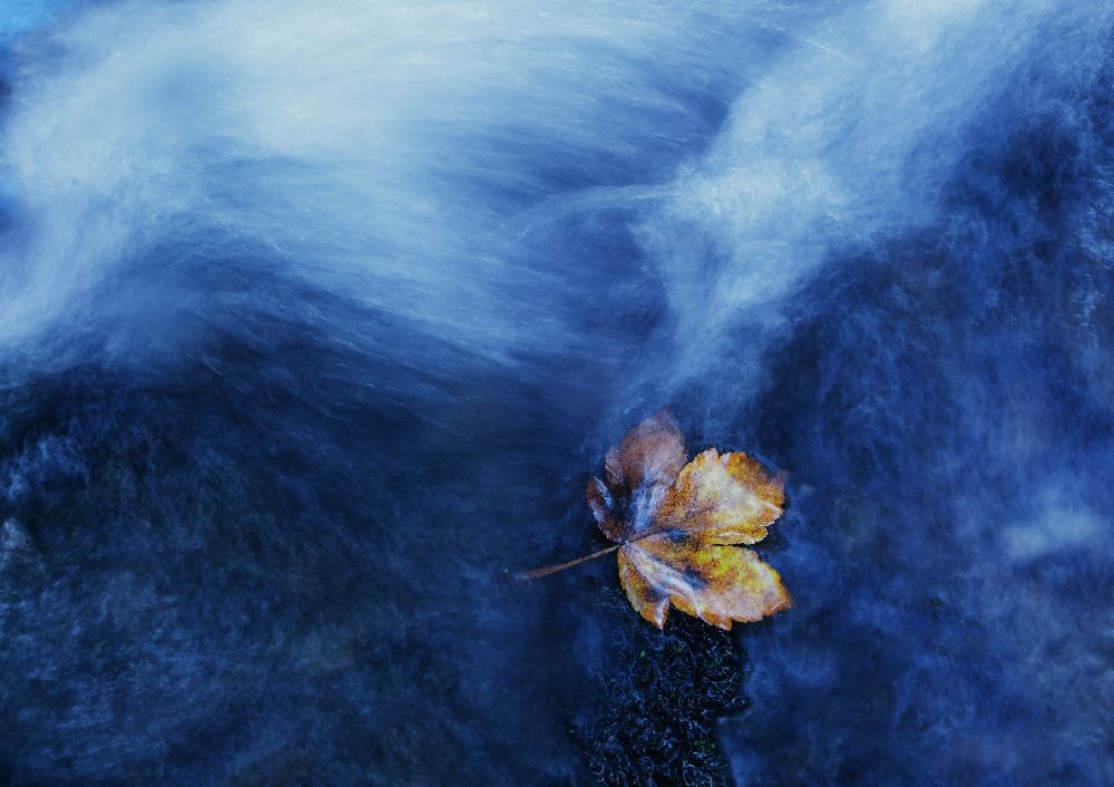 die Landung von Michel Manzoni