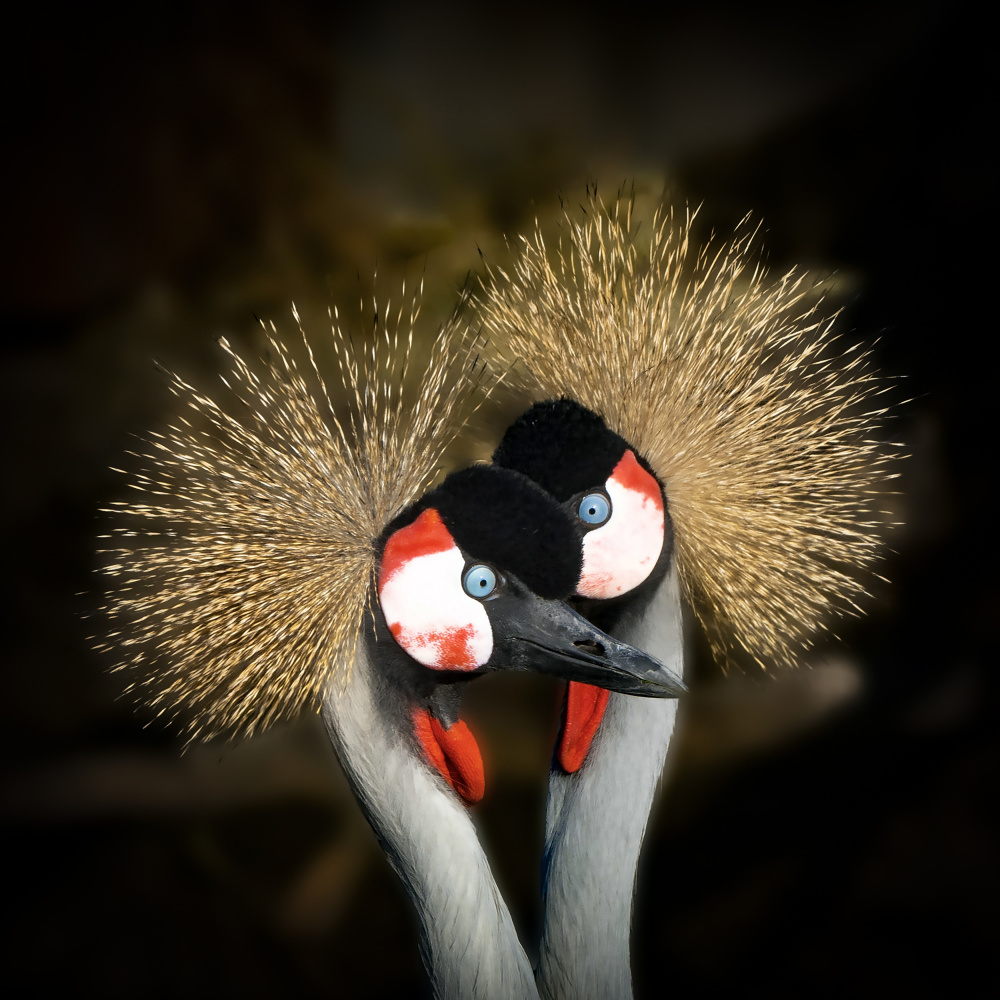 Makeup von Michel Romaggi