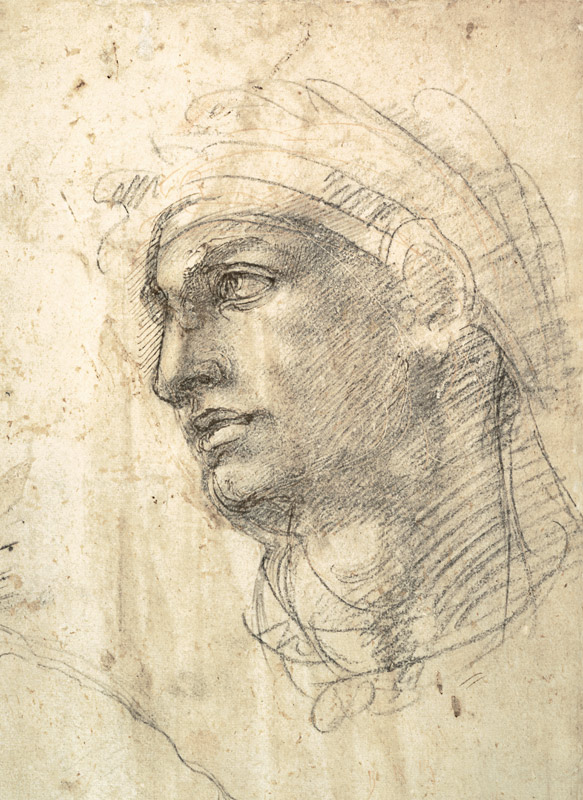 Study of a Head  Inv.1895/9/15/498 (W.1) von Michelangelo (Buonarroti)