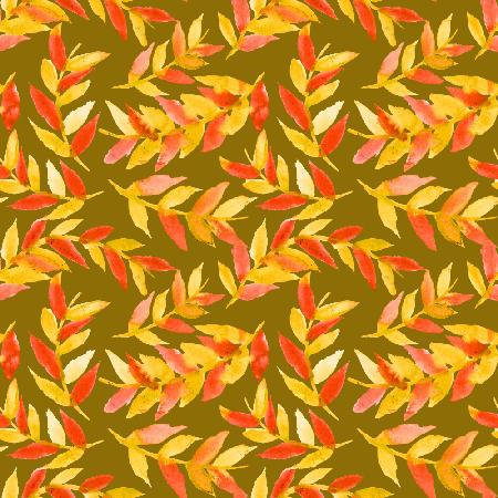 Leaves Curved Yellow Orange On Olive