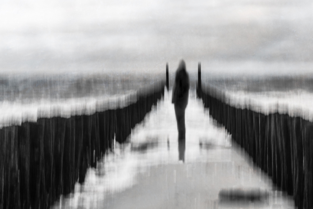 The gate von Michelle Degryse