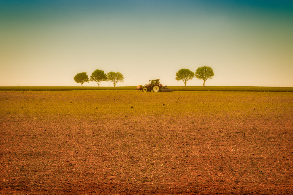 Strange weather von Michelle Degryse