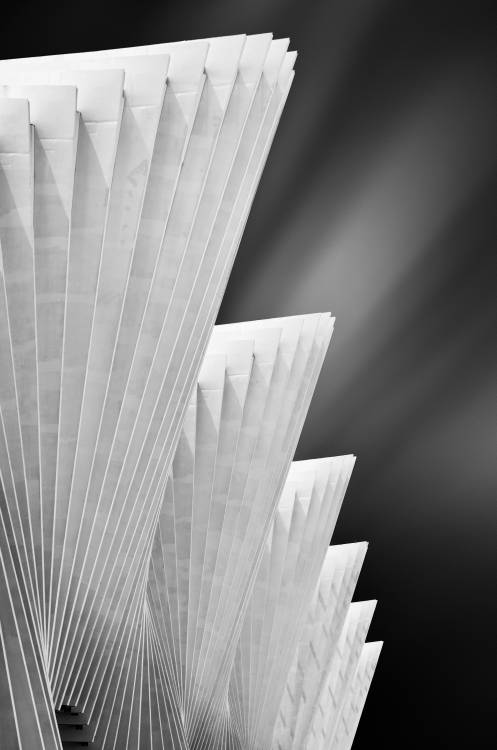 Ivory Gates von Michiel Hageman