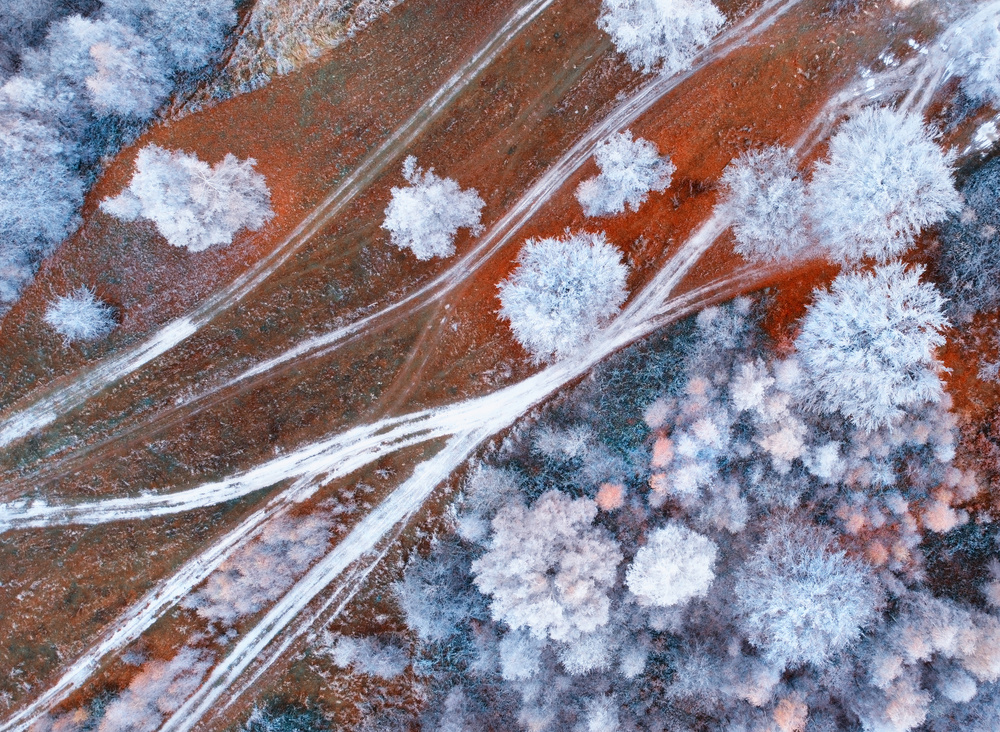 ReD von Mihai Bogdan R