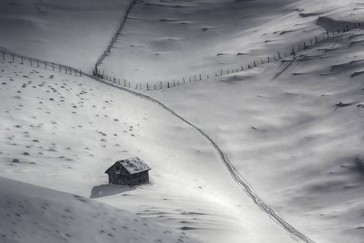 Winter Light von Mihail Dulu