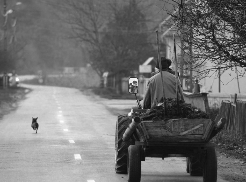 The Followers von Mihnea Turcu