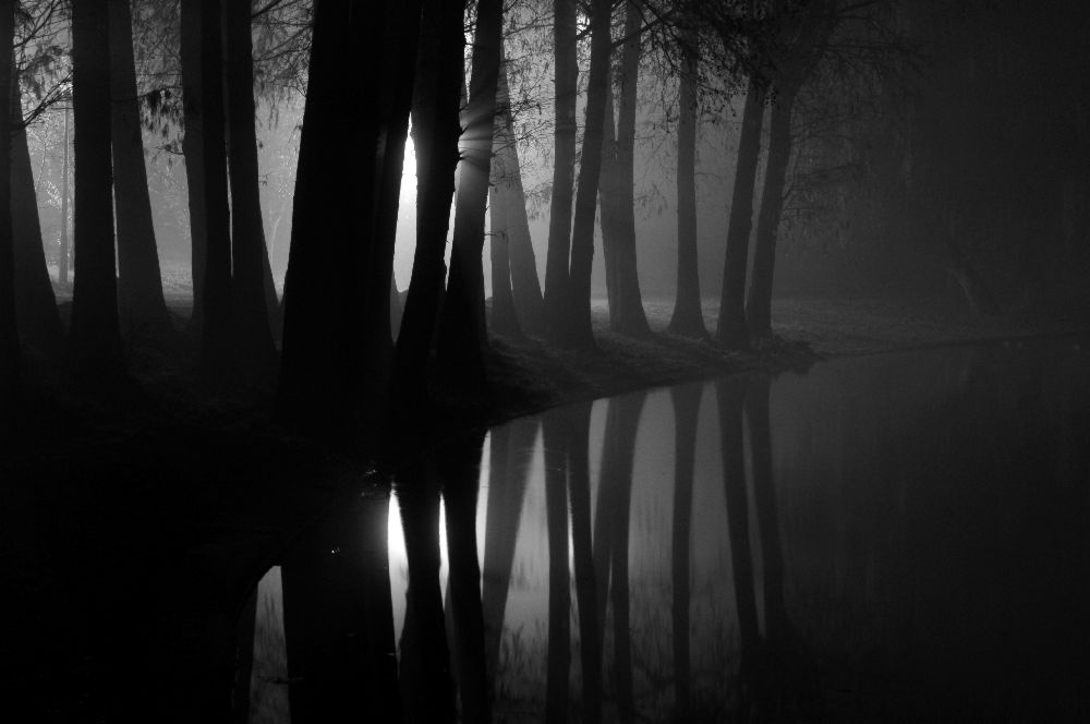 Ohne Titel von Mihnea Turcu