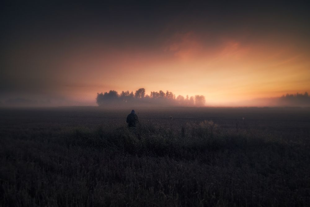 Ich frage mich den Sinn des Lebens ... von Mika Suutari